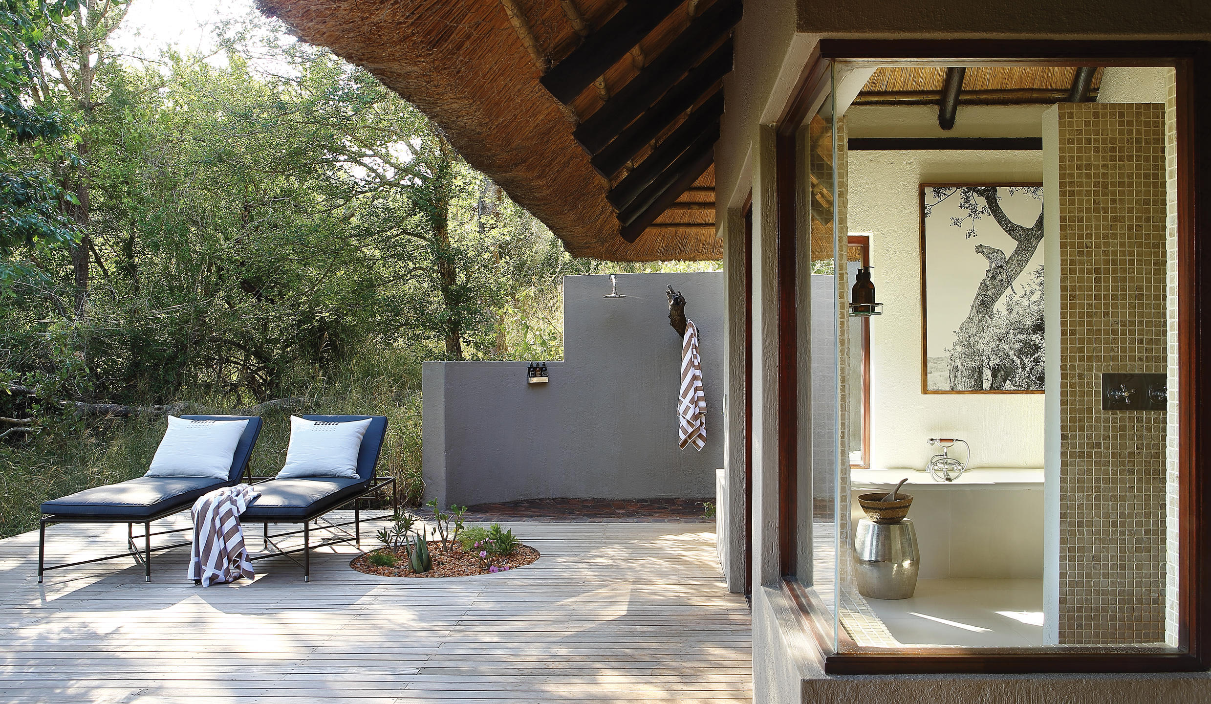 Londolozi Tree Camp thumbnail 4